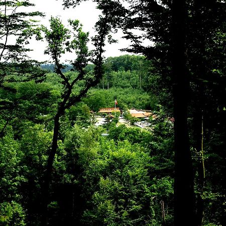 Randboldal Camping & Cabins Екстериор снимка