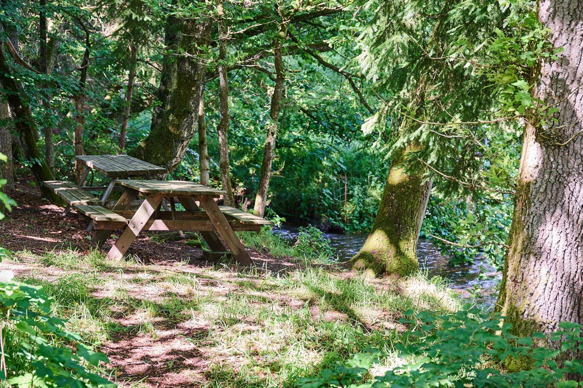 Randboldal Camping & Cabins Екстериор снимка