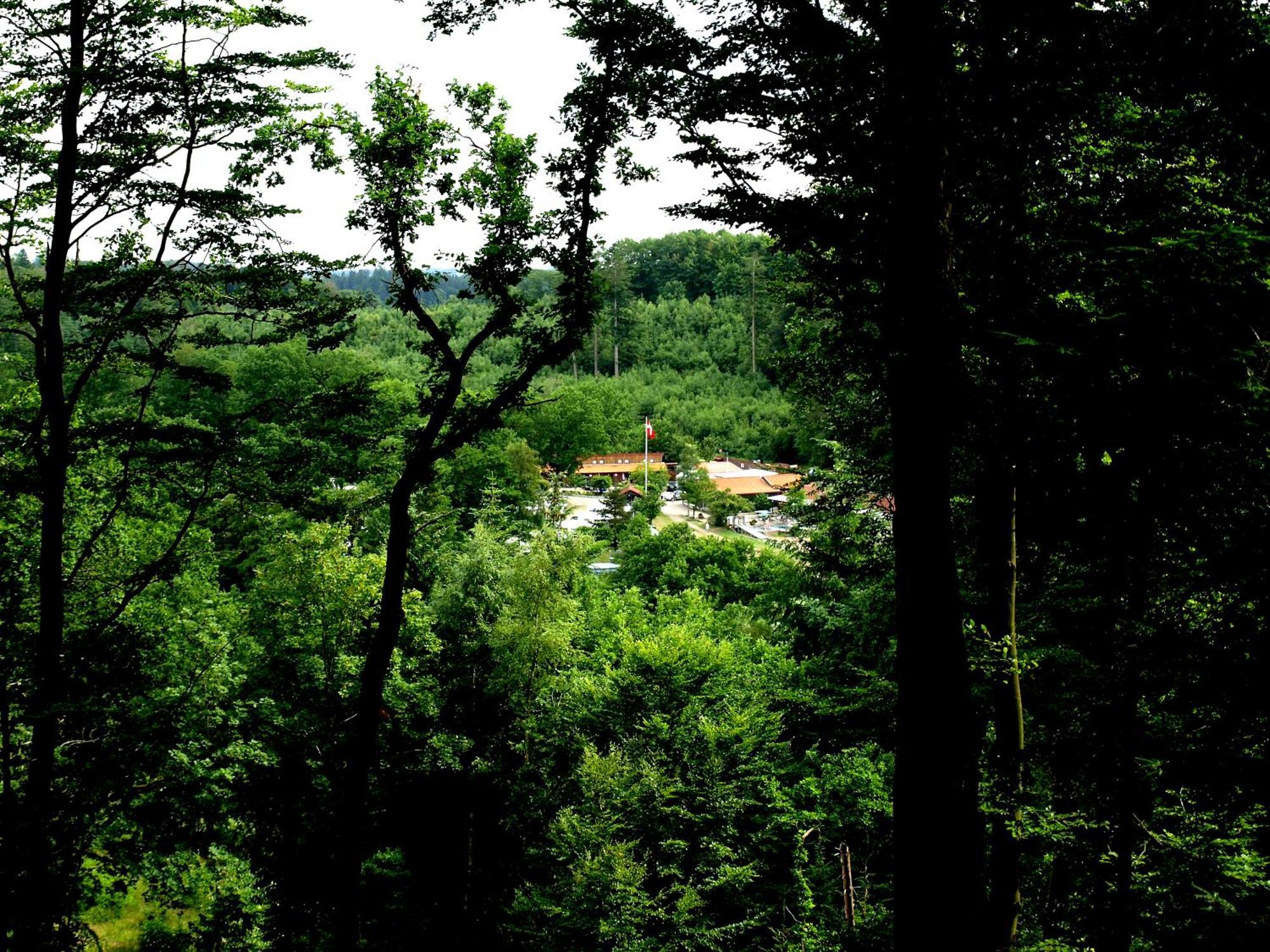 Randboldal Camping & Cabins Екстериор снимка