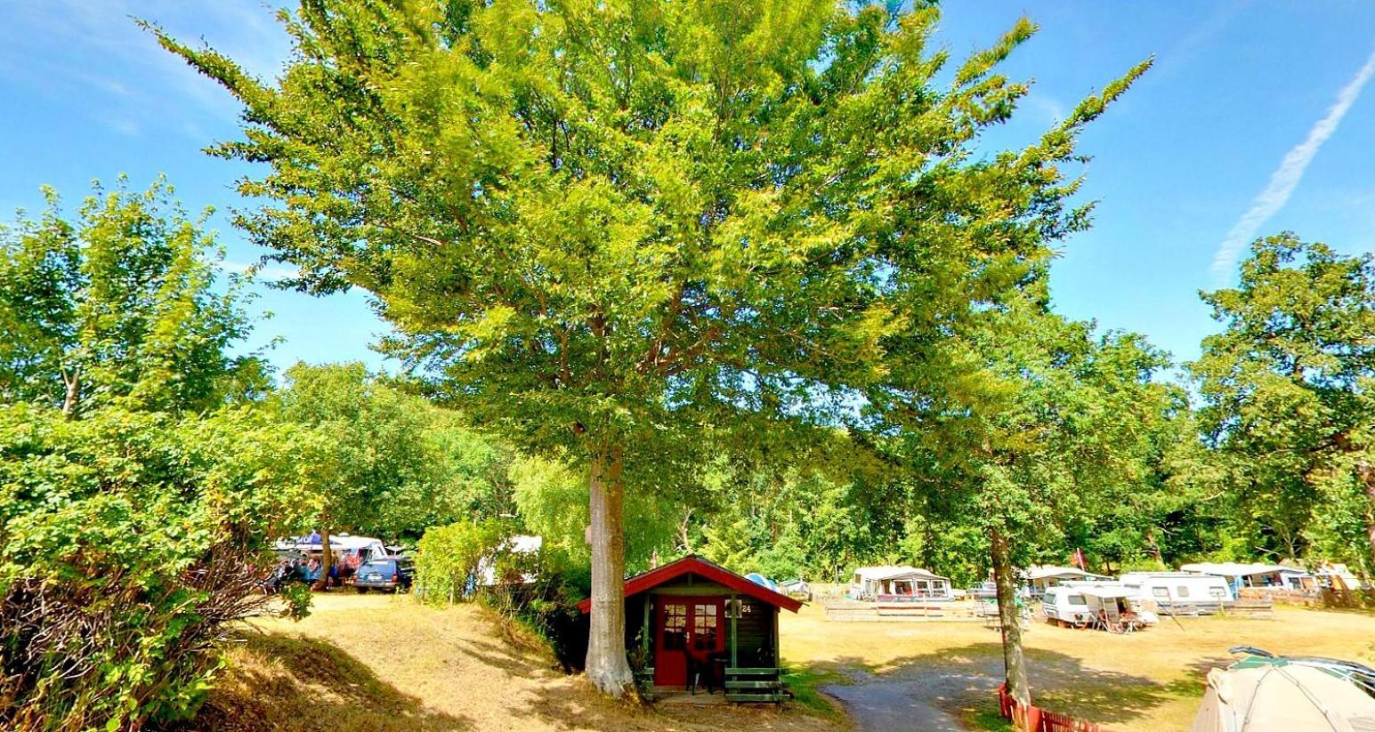 Randboldal Camping & Cabins Екстериор снимка