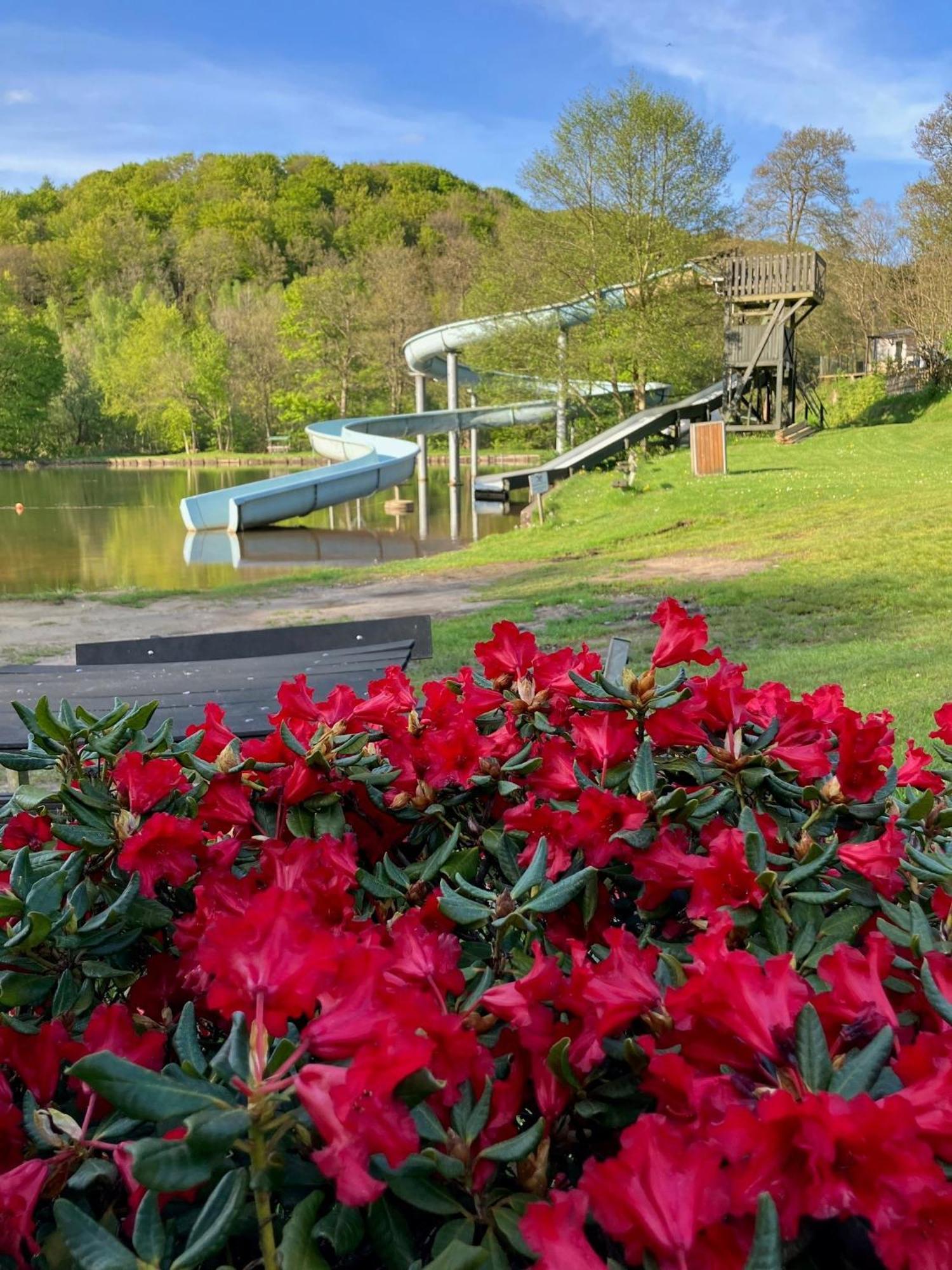 Randboldal Camping & Cabins Екстериор снимка
